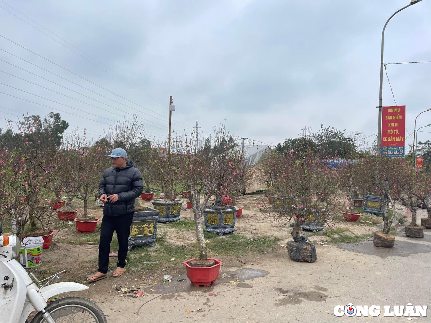 thanh hoa 28 tet nguoi buon dao quat dong loat xa hang hinh 1