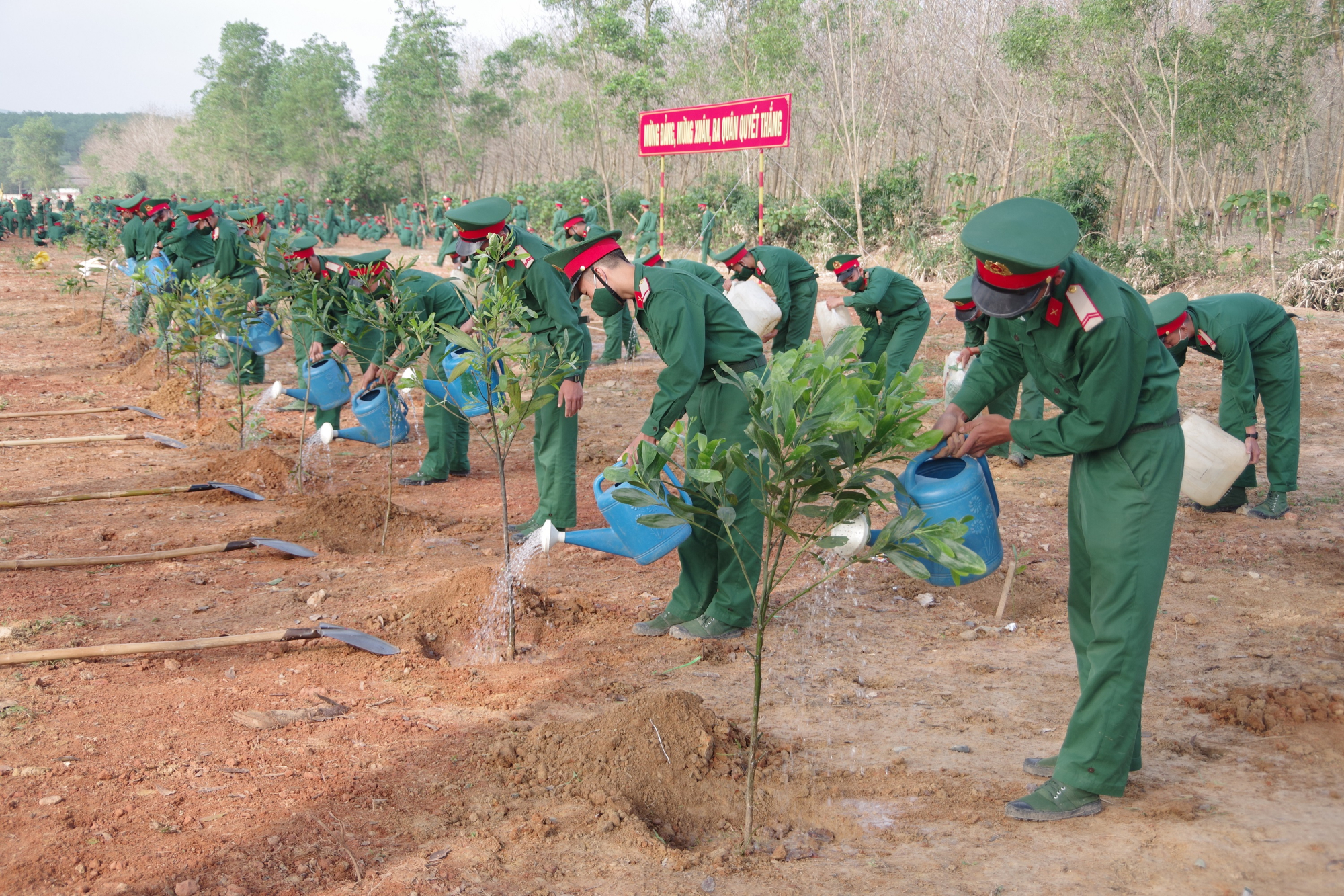 to chuc tet trong cay doi doi nho on bac ho thiet thuc hieu qua khong pho truong hinh thuc hinh 1