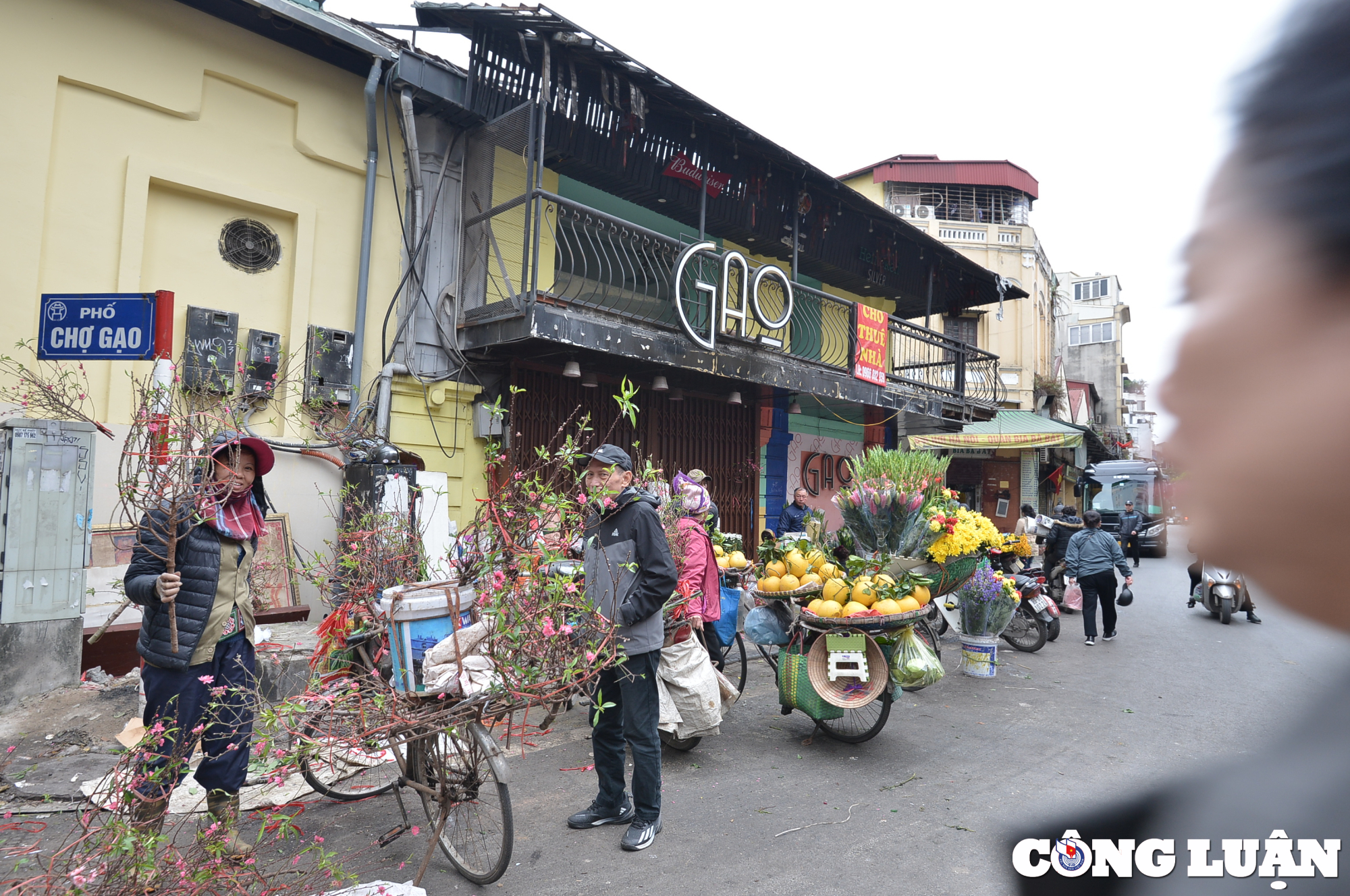 ha noi nhon nhip nguoi mua ke ban dip can tet nguyen dan 2024 hinh 4