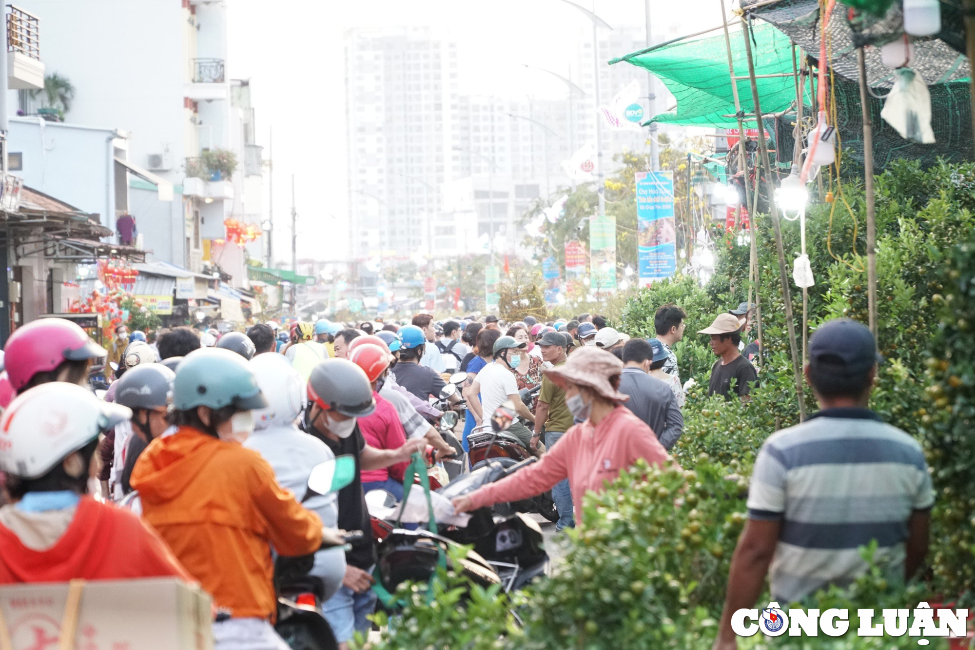 tp hcm cho hoa xuan tren ben duoi thuyen van hut khach ngay can tet hinh 6