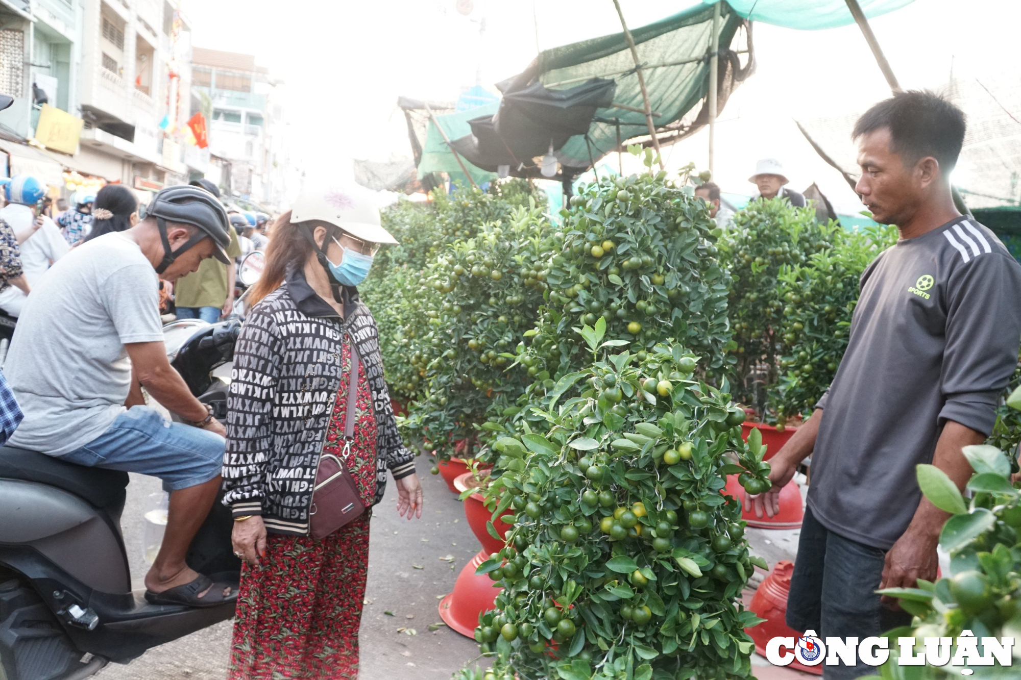 tp hcm cho hoa xuan tren ben duoi thuyen van hut khach ngay can tet hinh 7