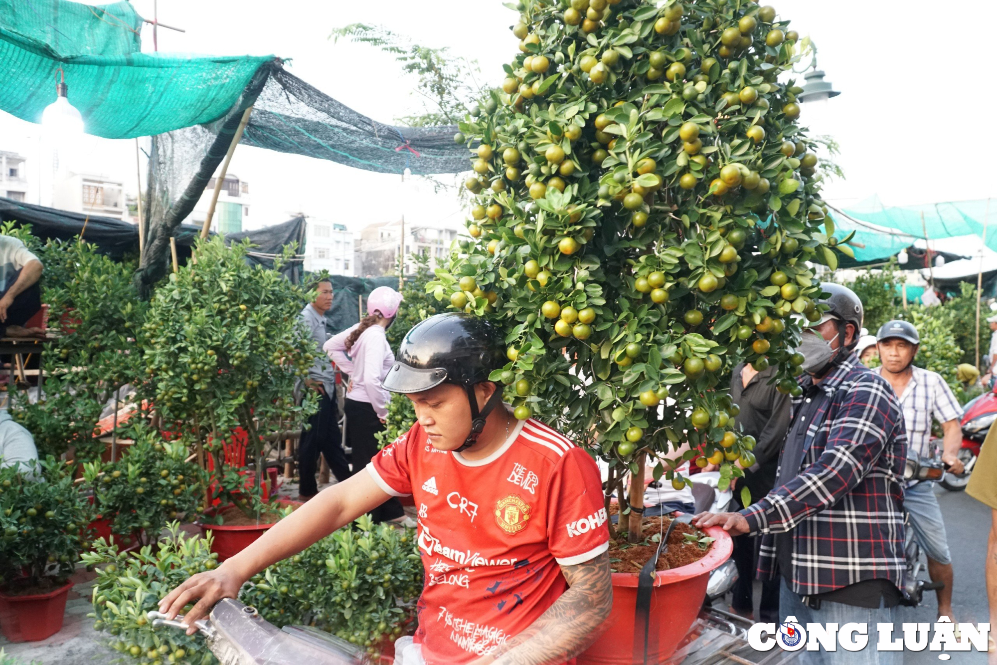 tp hcm cho hoa xuan tren ben duoi thuyen van hut khach ngay can tet hinh 8