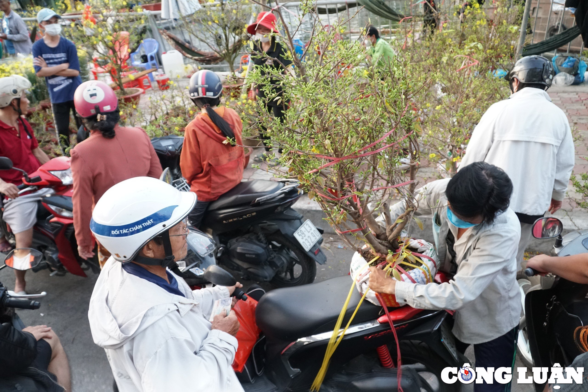 tp hcm cho hoa xuan tren ben duoi thuyen van hut khach ngay can tet hinh 9