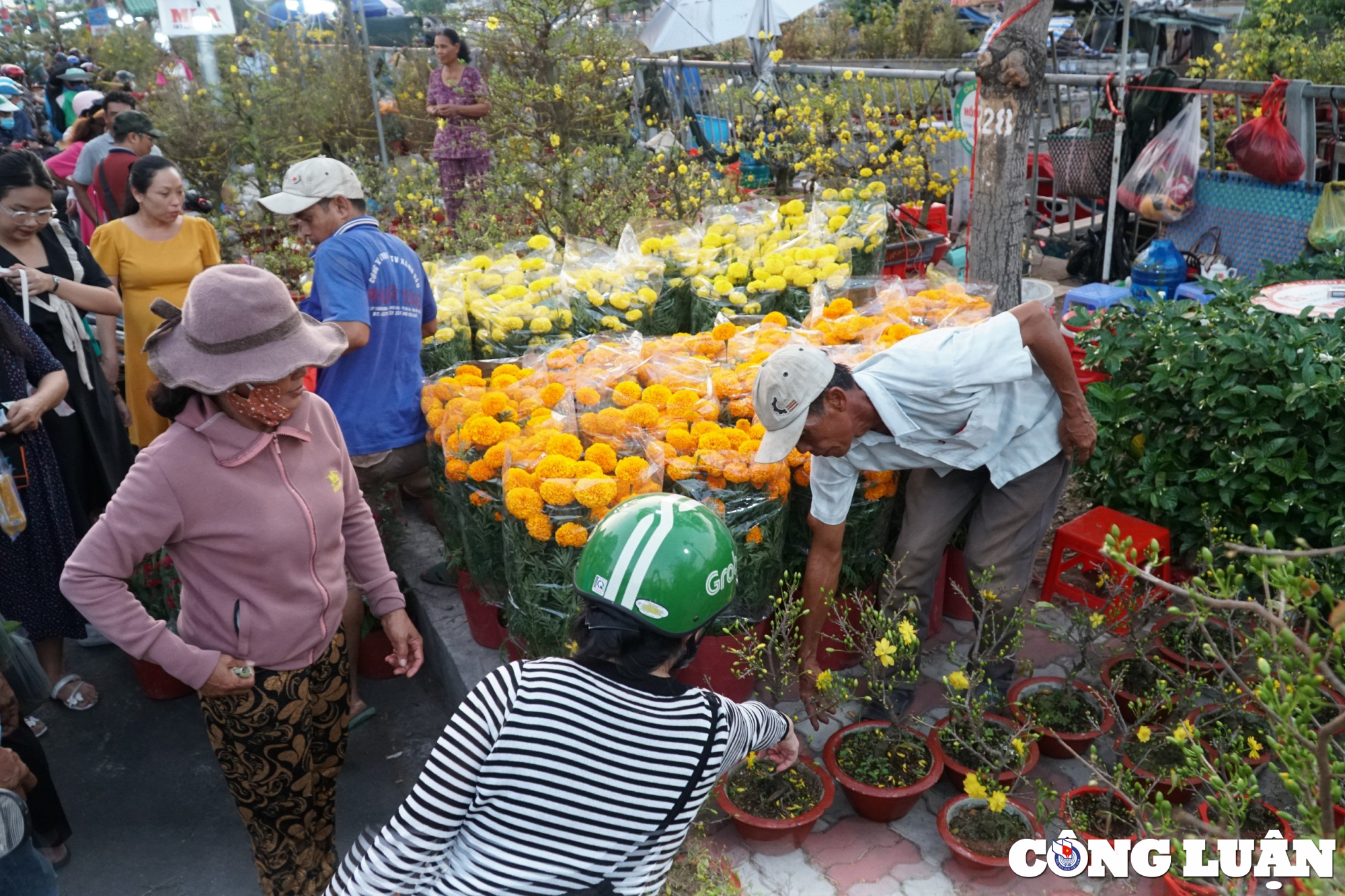 tp hcm cho hoa xuan tren ben duoi thuyen van hut khach ngay can tet hinh 11