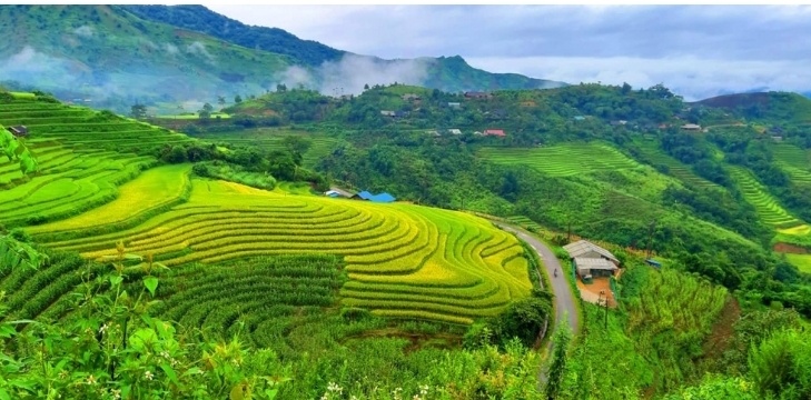 dat nuoc minh dau cung dep nhu tranh hinh 1