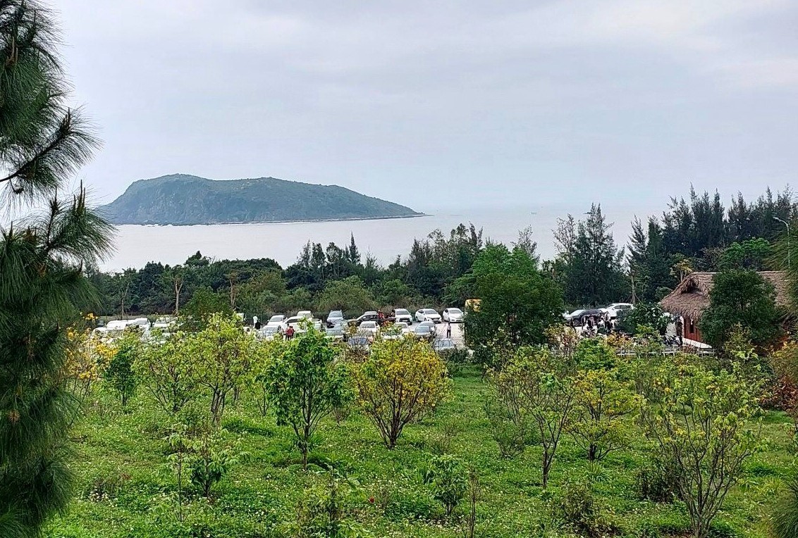 dau xuan dong nguoi no nuc vieng tham mo dai tuong vo nguyen giap hinh 9