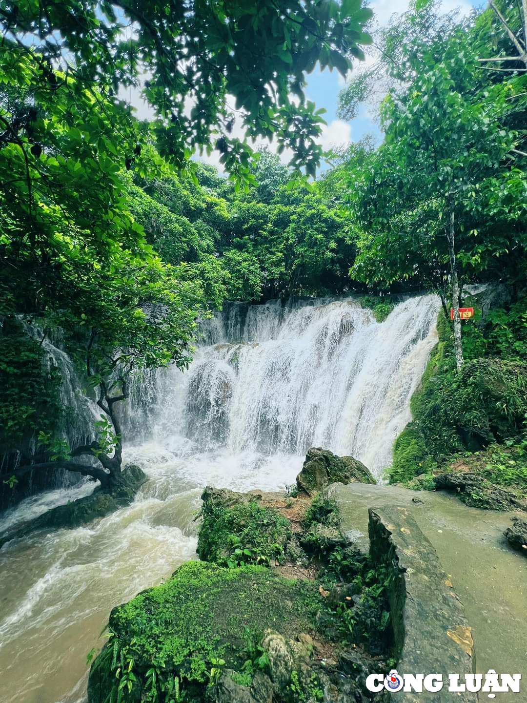 den xu thanh kham pha ve dep tua tranh ve cua thac voi hinh 3