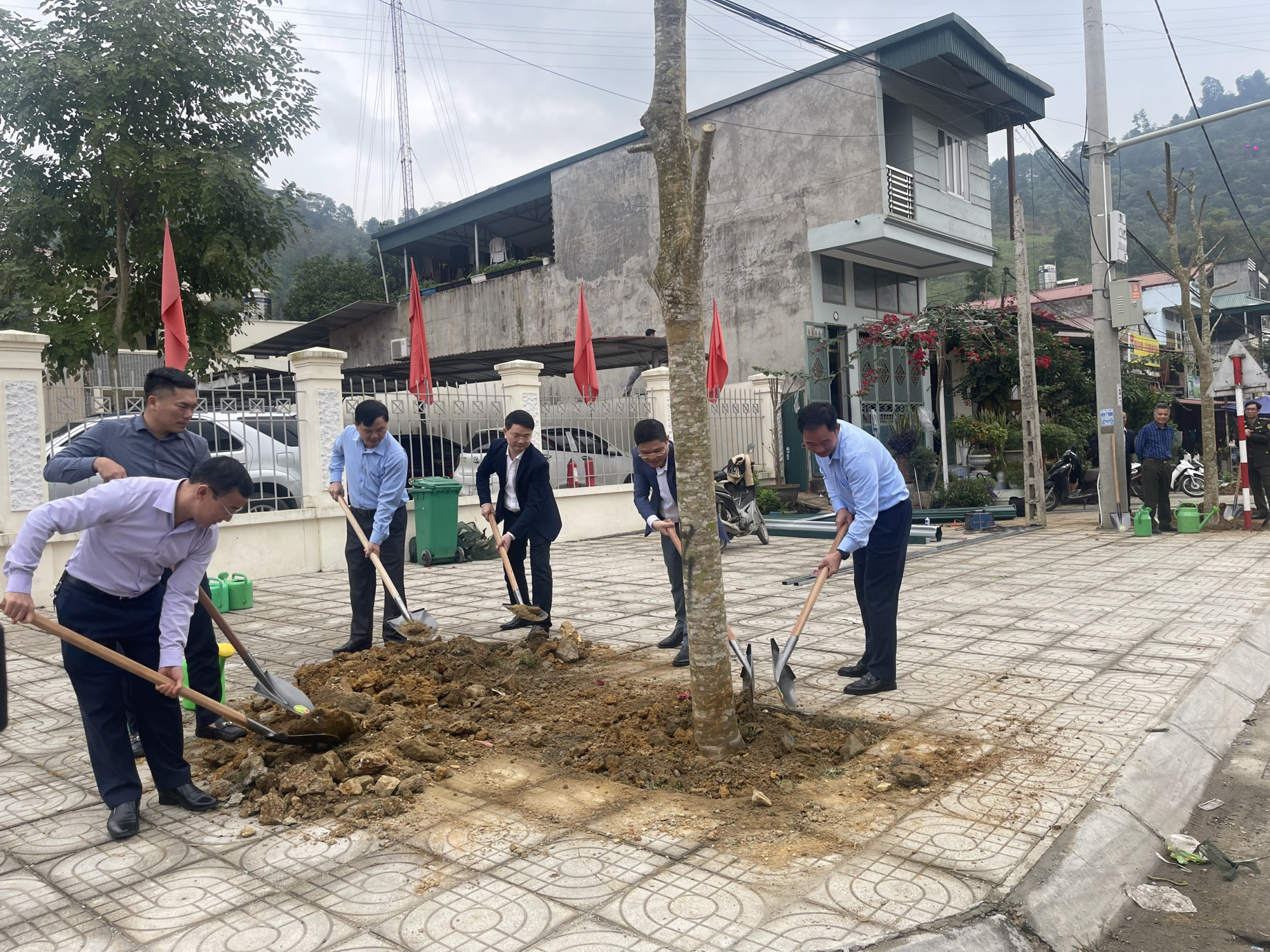 lao cai tiep nhan va trong 1000 cay phuong vy do dau tien thanh pho hai phong tang hinh 2