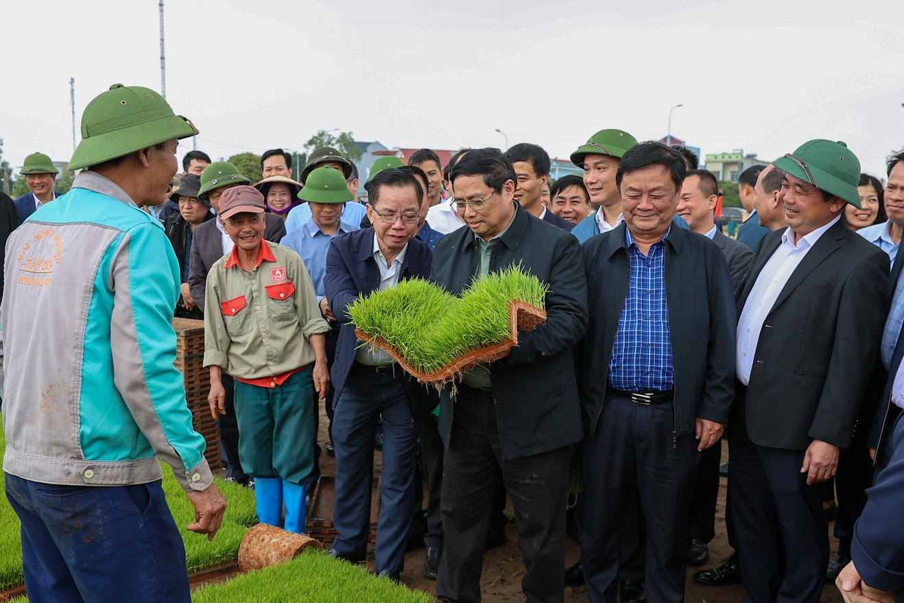 thu tuong pham minh chinh xuong dong cay lua thu hoach ca rot cung nong dan hai duong hinh 1