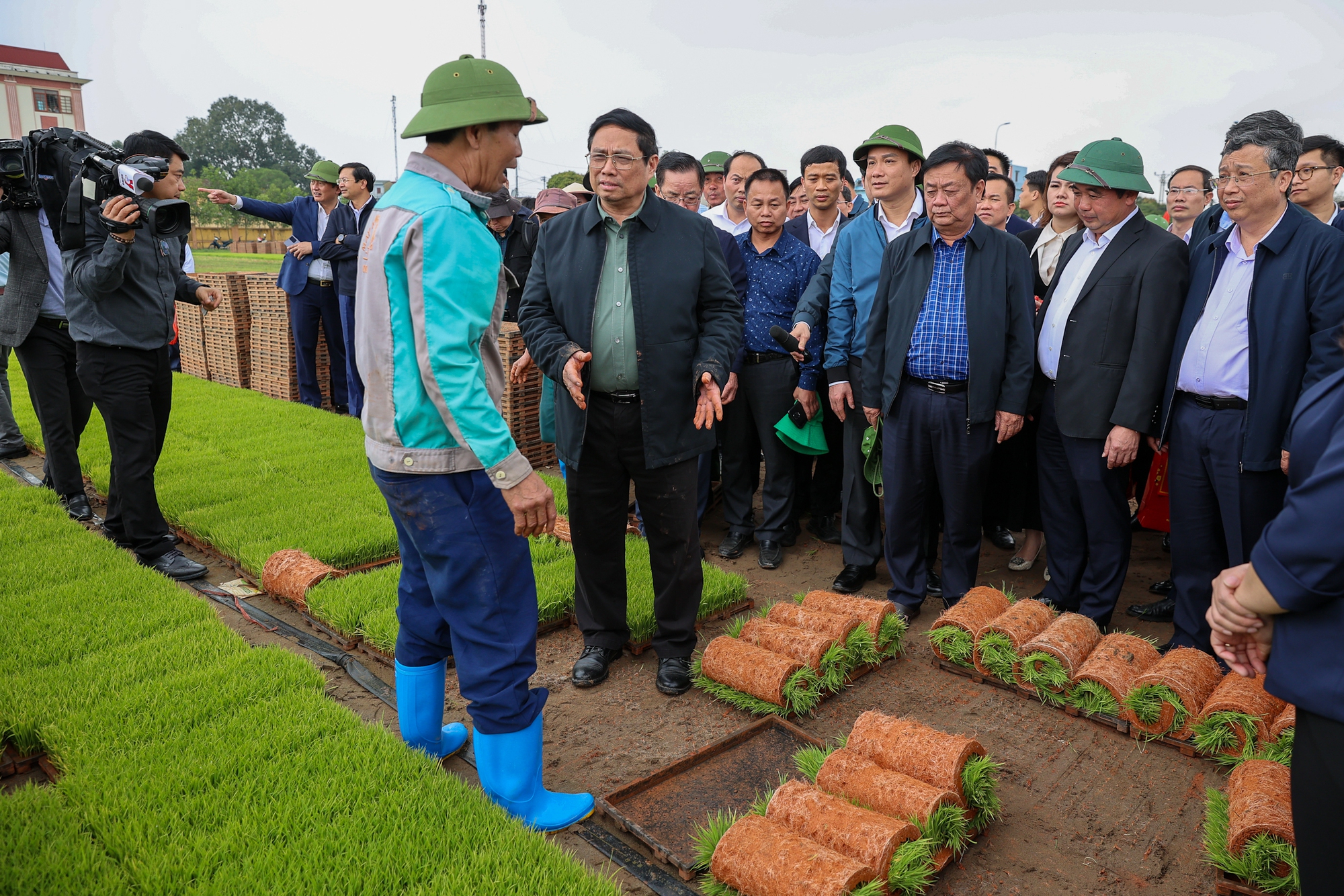 thu tuong pham minh chinh xuong dong cay lua thu hoach ca rot cung nong dan hai duong hinh 2