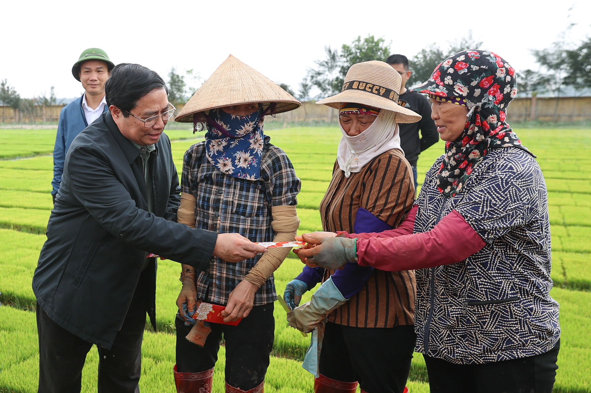 thu tuong pham minh chinh xuong dong cay lua thu hoach ca rot cung nong dan hai duong hinh 3