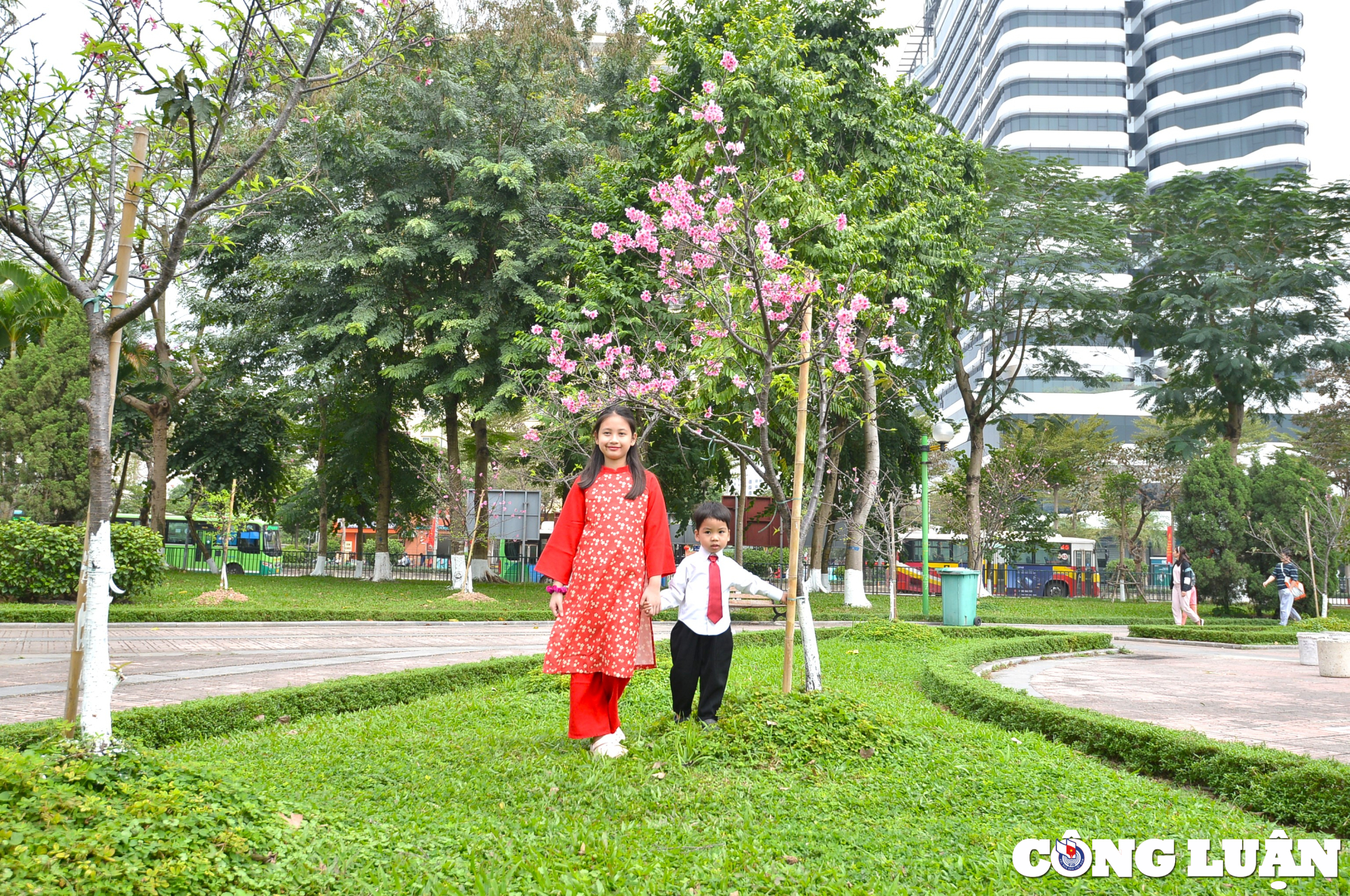 nguoi dan ha thanh dua nhau check in ben hoa anh dao nhat ban dang no ro hinh 9