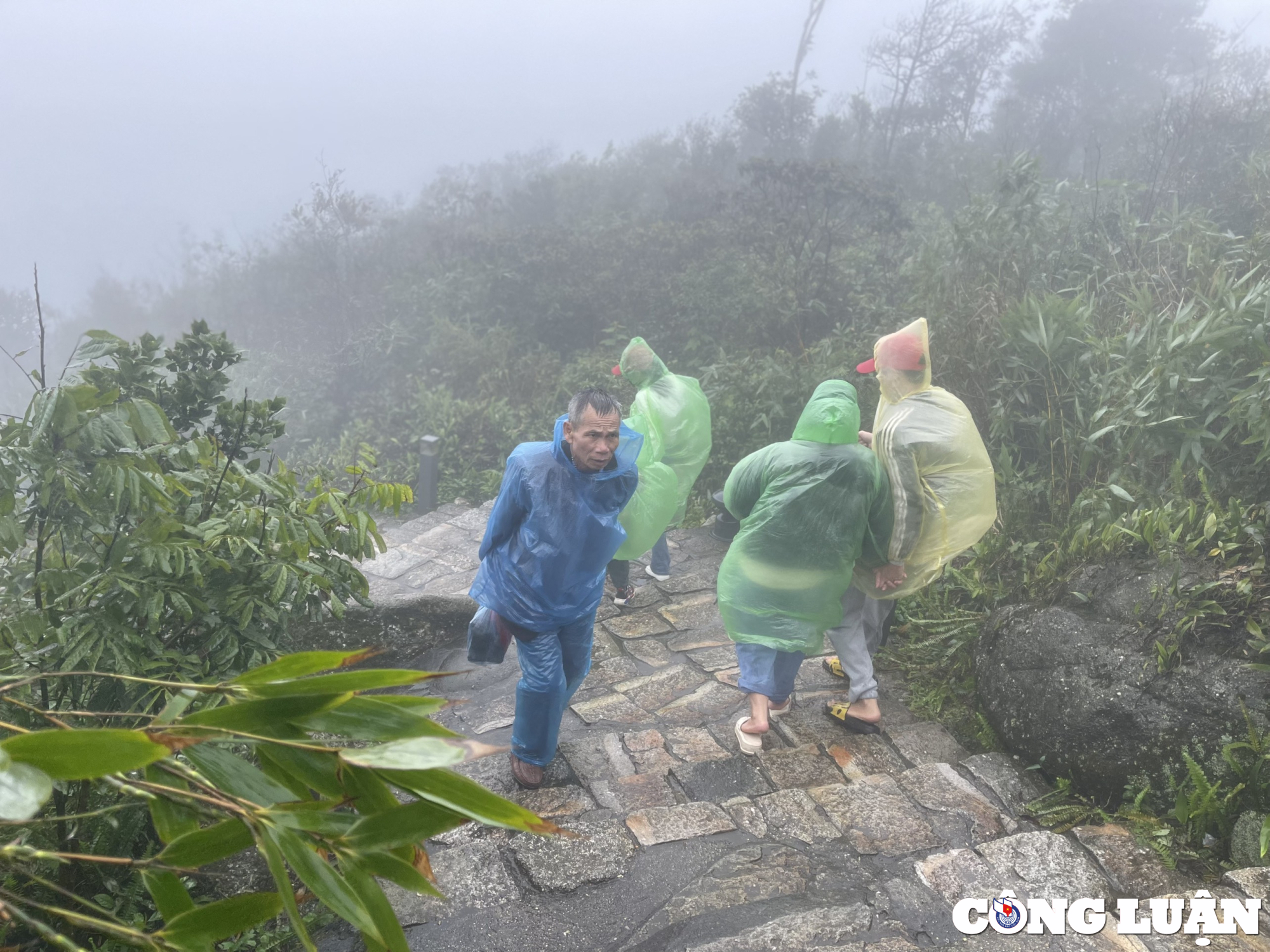 du khach doi mua chinh phuc chua thuong o tay yen tu hinh 11