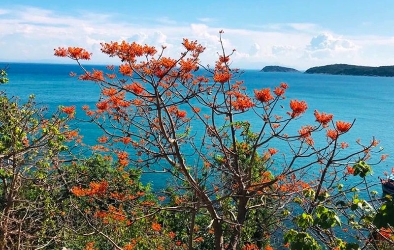 nghe dan vong ngo dong o cu lao cham la di san quoc gia hinh 2