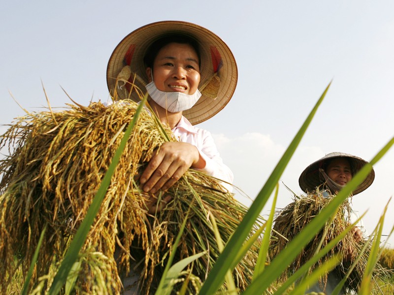 tong dieu tra nong thon nong nghiep lan thu 6 duoc de xuat tien hanh vao ngay 1 7 2025 hinh 1