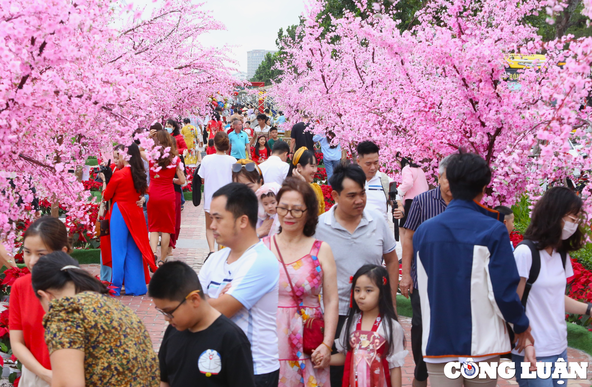 du lich da nang khoi sac nhung thang dau nam moi 2024 hinh 1