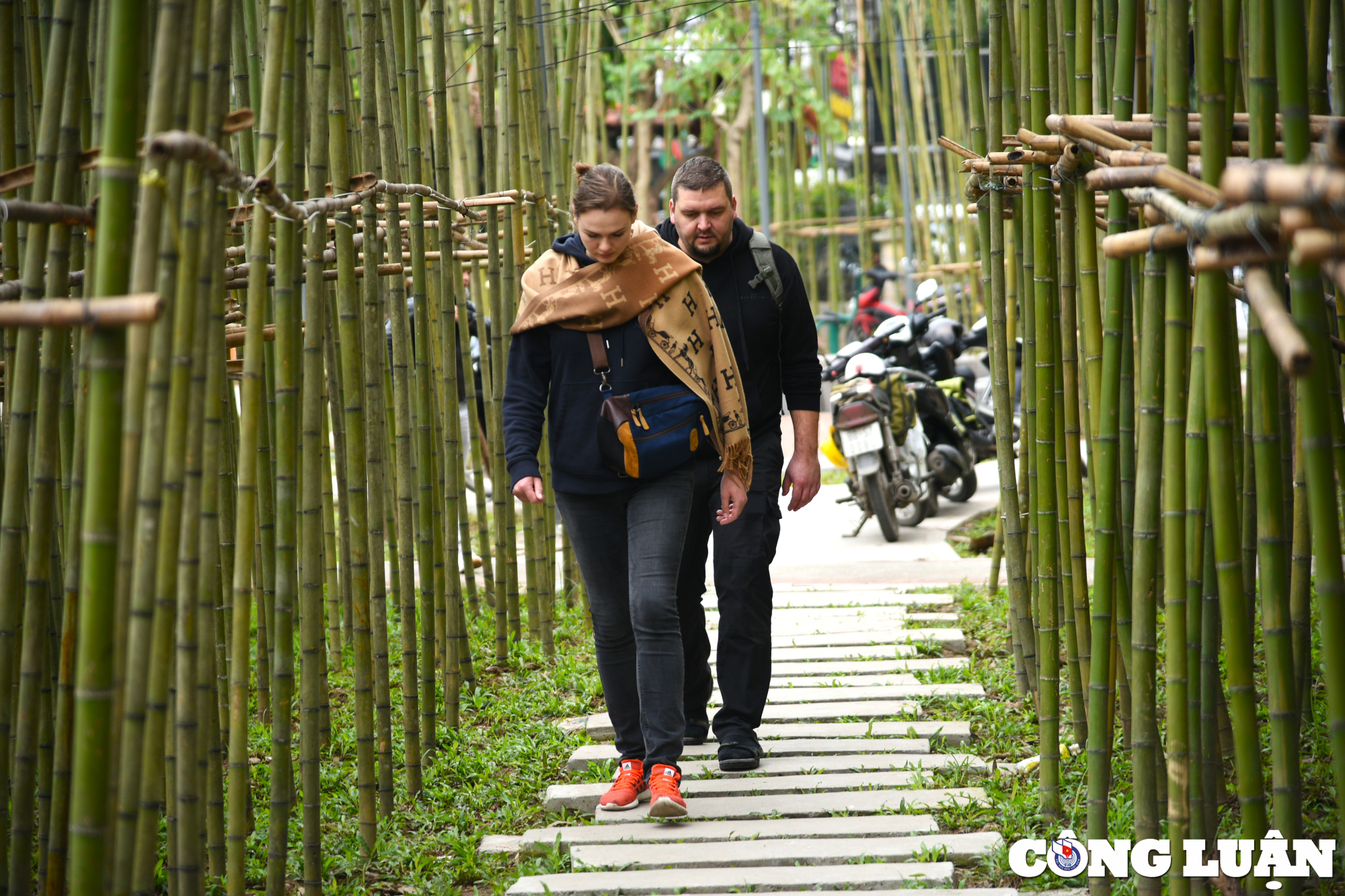 hang nghin cay truc tao nen canh sac nhu trong phim giua long ha noi hinh 7