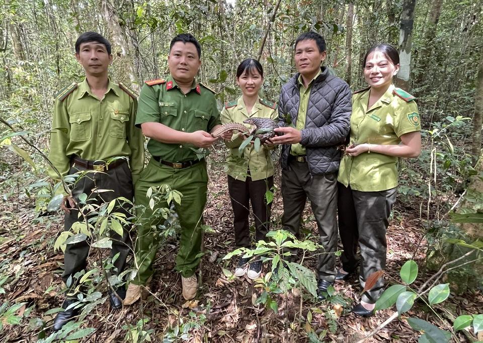 gia lai tha ca the te te vang quy hiem vao khu bao ton thien nhien kon chu rang hinh 2