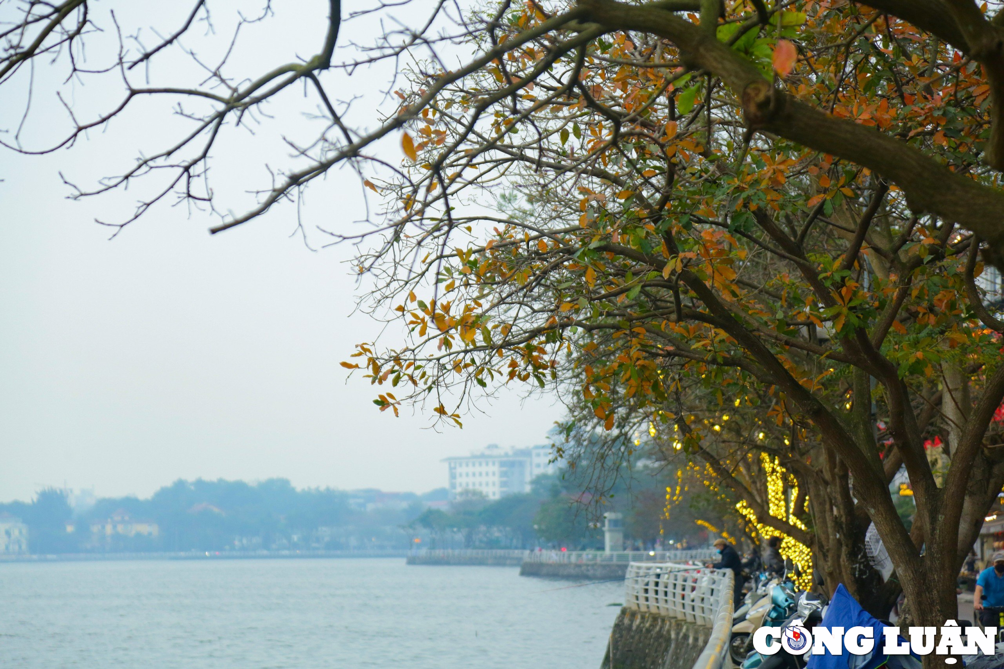 Thủ đô Hà Nội đẹp ngỡ ngàng trong mùa lá rụng