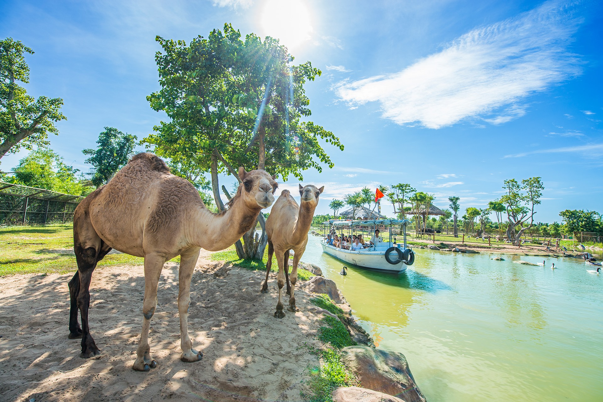 su song hoi sinh o river safari nam hoi an hinh 7