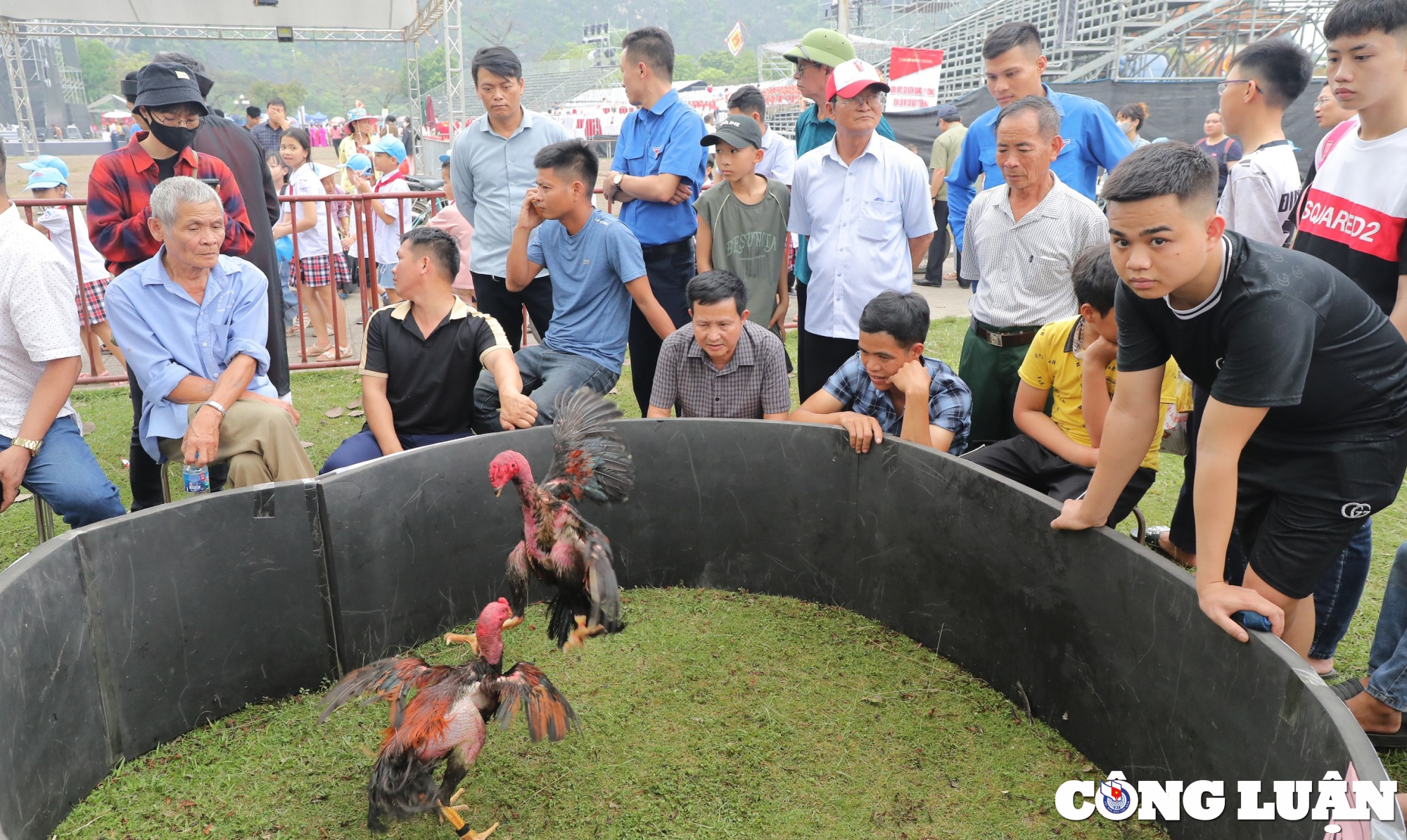 ninh binh hap dan cac hoat dong va tro choi dan gian tai le hoi hoa lu 2024 hinh 13