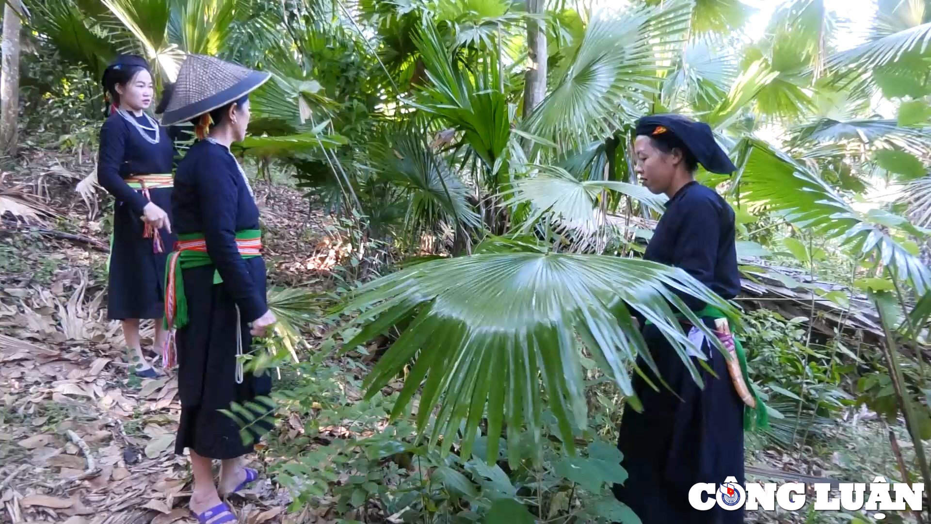 non la hai me cua nguoi tay o ha giang  khong chi la vat che mua nang hinh 2