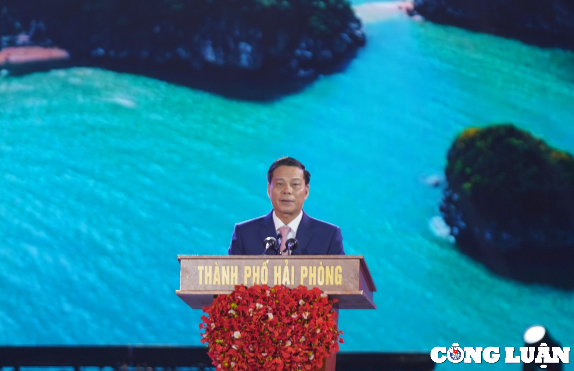 le hoi hoa phuong do  hai phong 2024 lung linh dem hoi hai phong bung sang mien di san hinh 3