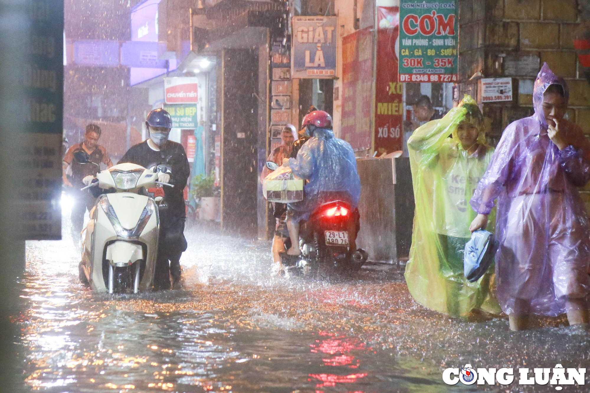 den hen lai len ha noi cu mua la ngap hinh 1