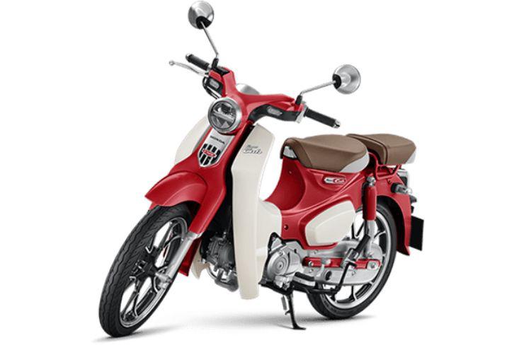 honda super cub 2024 ra mat hinh 5