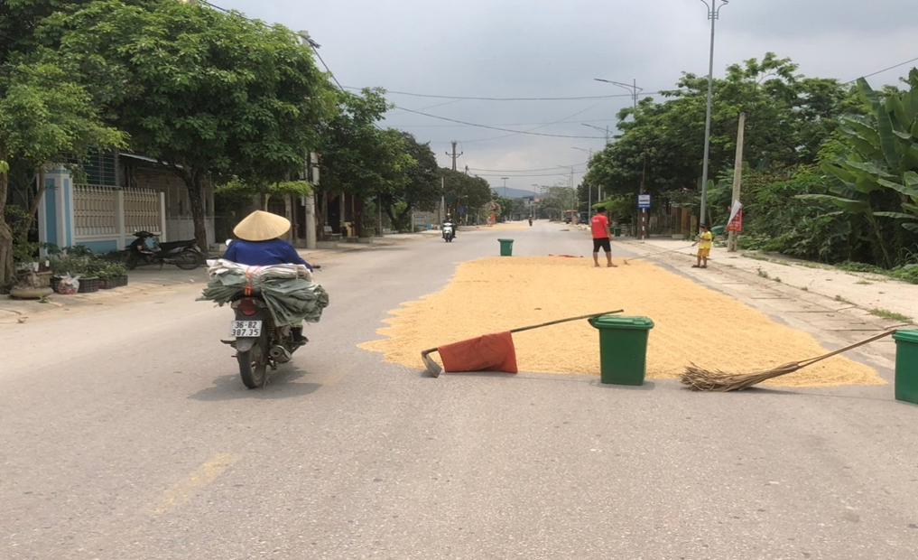 thanh hoa nhuc nhoi canh phoi lua dung vat can chan ngang duong giao thong hinh 1