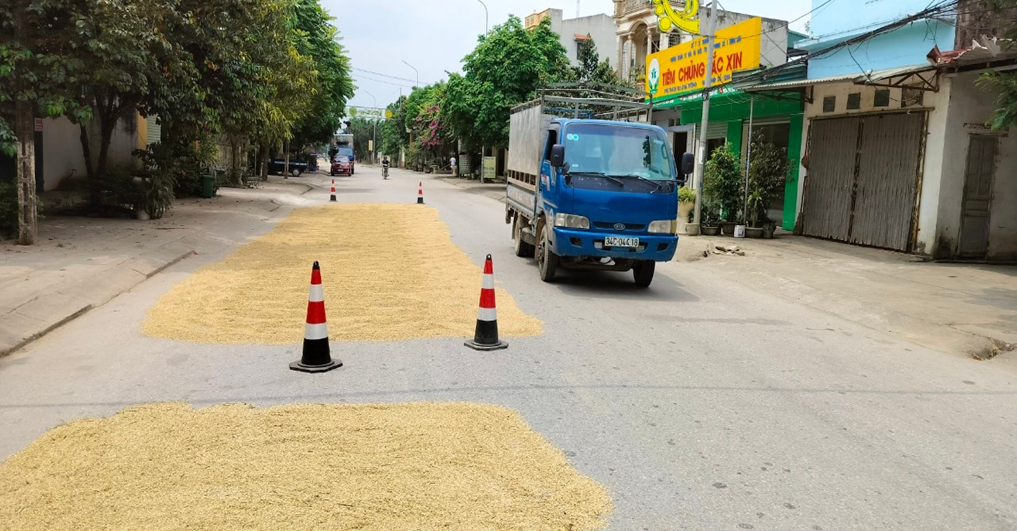 thanh hoa nhuc nhoi canh phoi lua dung vat can chan ngang duong giao thong hinh 2