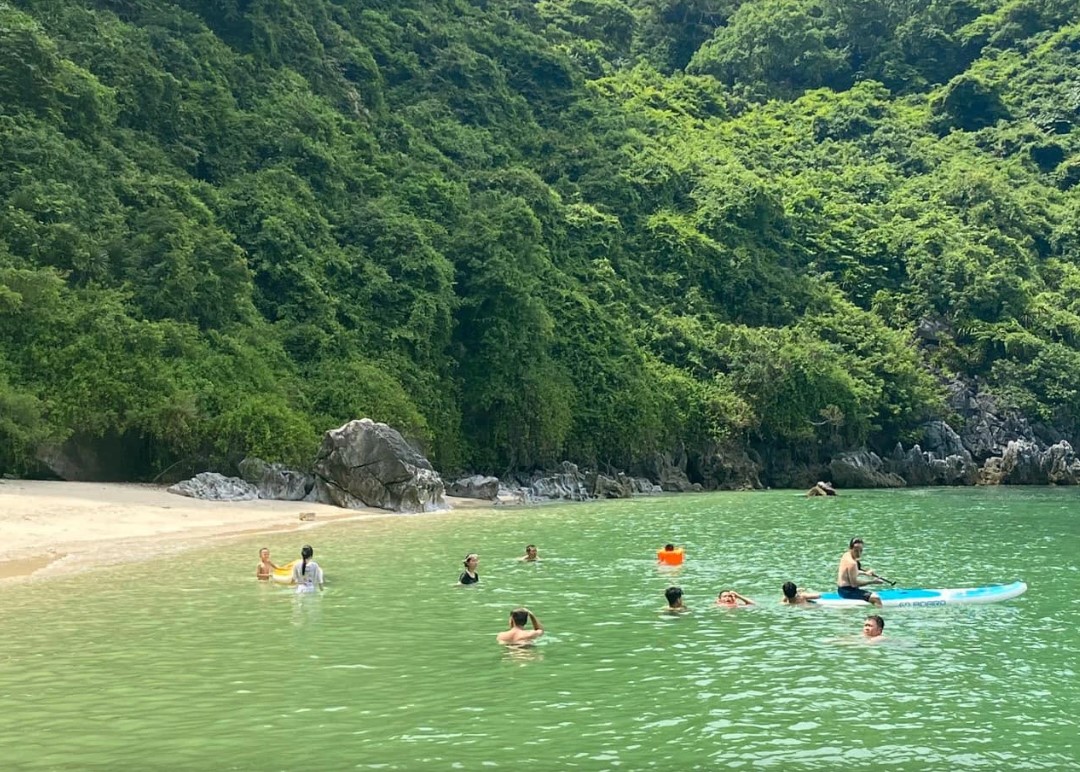 yeu cau xu ly tour du lich chui tren vinh bai tu long hinh 2