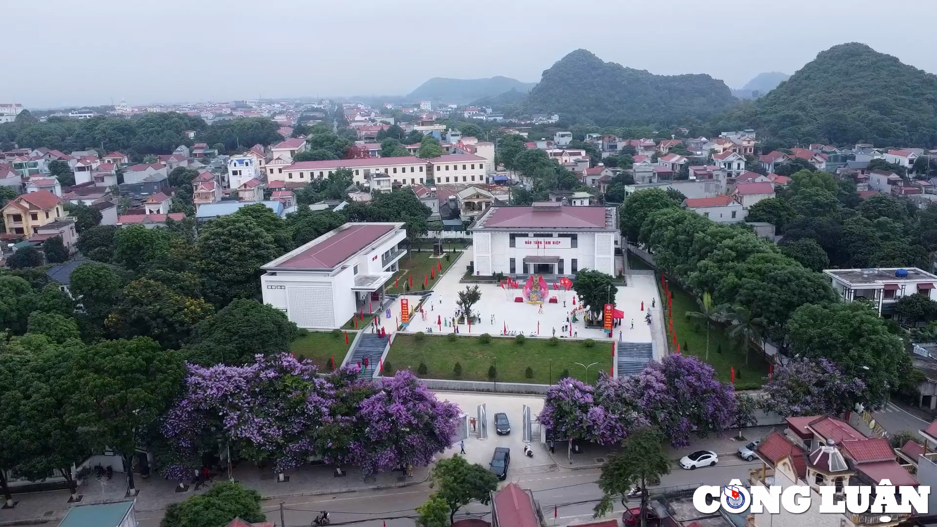 ve dep cua hoa bang lang tim tai ninh binh hinh 4