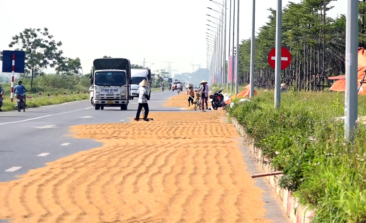 bac ninh xu ly nghiem cac truong hop co tinh lan chiem long duong via he lam noi tuot lua phoi thoc hinh 1