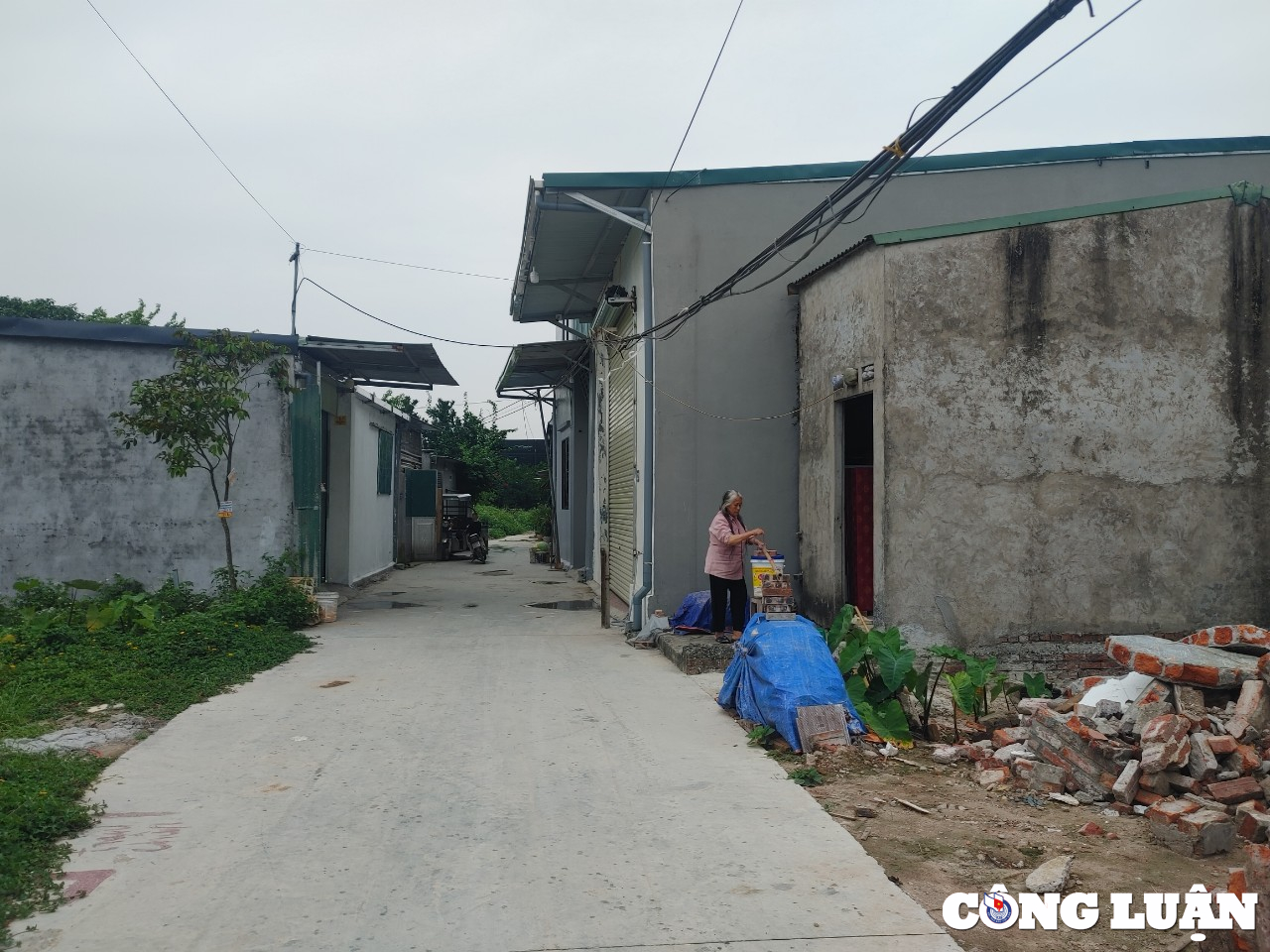 ha noi nhung cum dan cu dua nhau moc tren dat nong nghiep o huyen hoai duc hinh 1