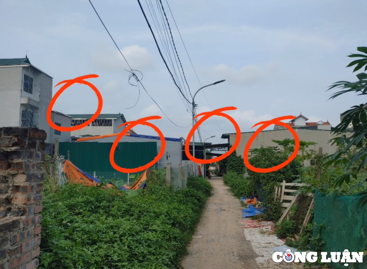 ha noi nhung cum dan cu dua nhau moc tren dat nong nghiep o huyen hoai duc hinh 6