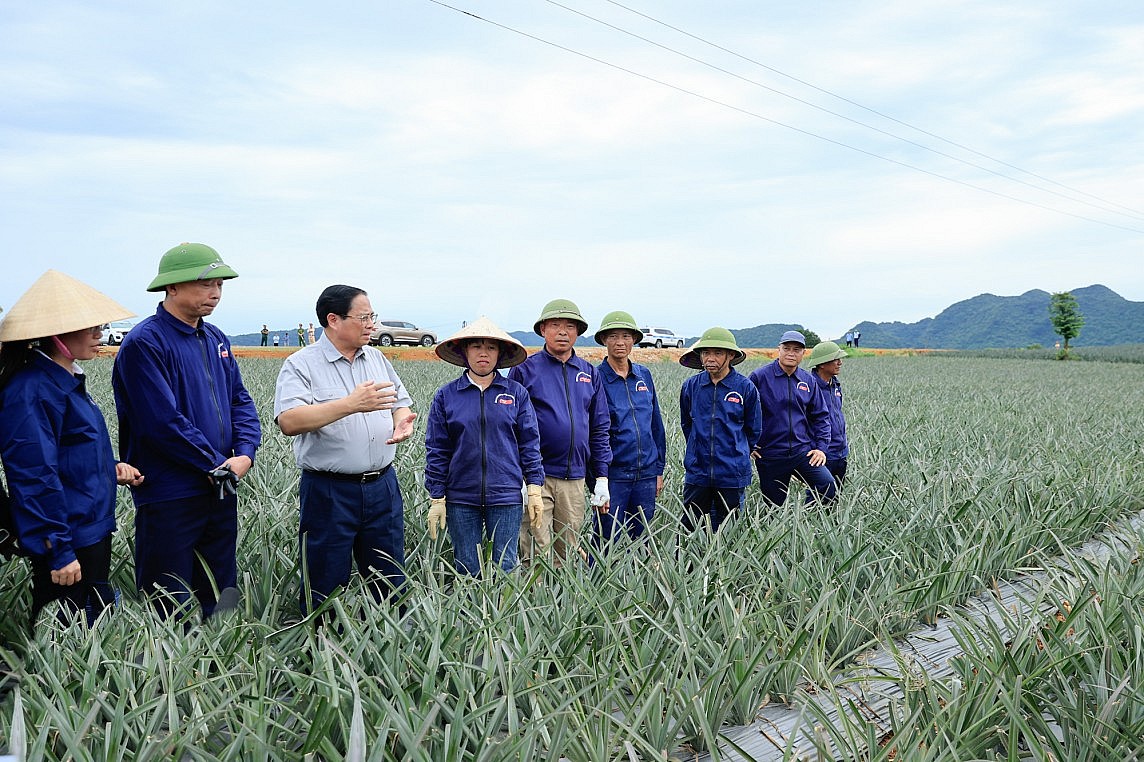 nghien cuu ket noi dong bo tuyen duong dong  tay cua ninh binh voi cac truc giao thong quan trong hinh 3