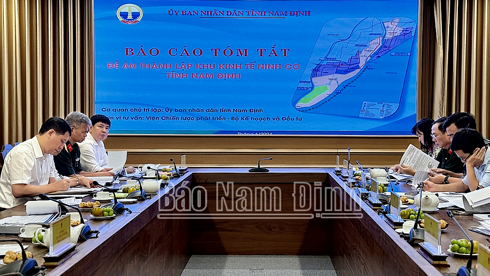 nhieu nha dau tu lon trong va ngoai nuoc de xuat duoc dau tu vao khu kinh te ninh co nam dinh hinh 2