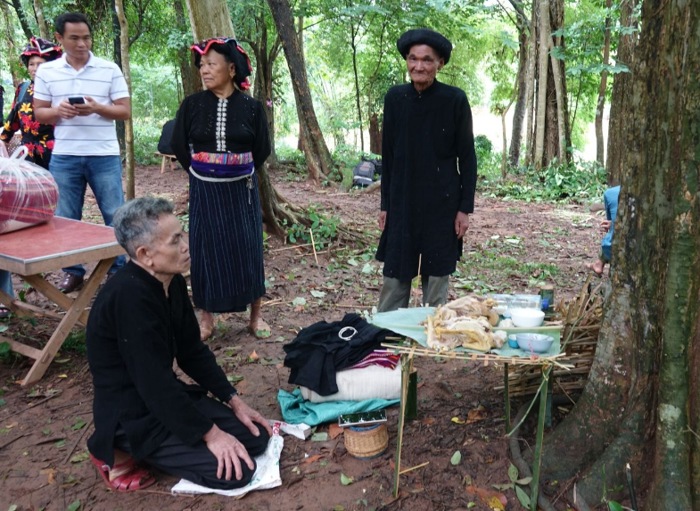 doc dao le hoi dong sua cua dong bao thai hinh 3