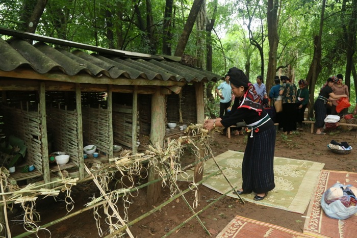 doc dao le hoi dong sua cua dong bao thai hinh 4