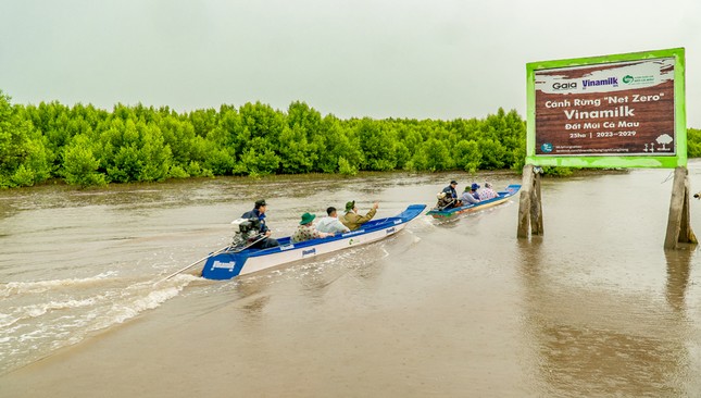 thien nhien tai sinh ki dieu noi canh rung net zero dat mui hinh 5