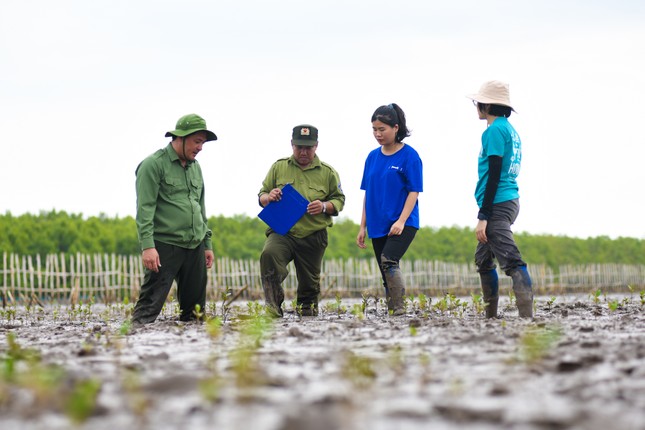 thien nhien tai sinh ki dieu noi canh rung net zero dat mui hinh 1