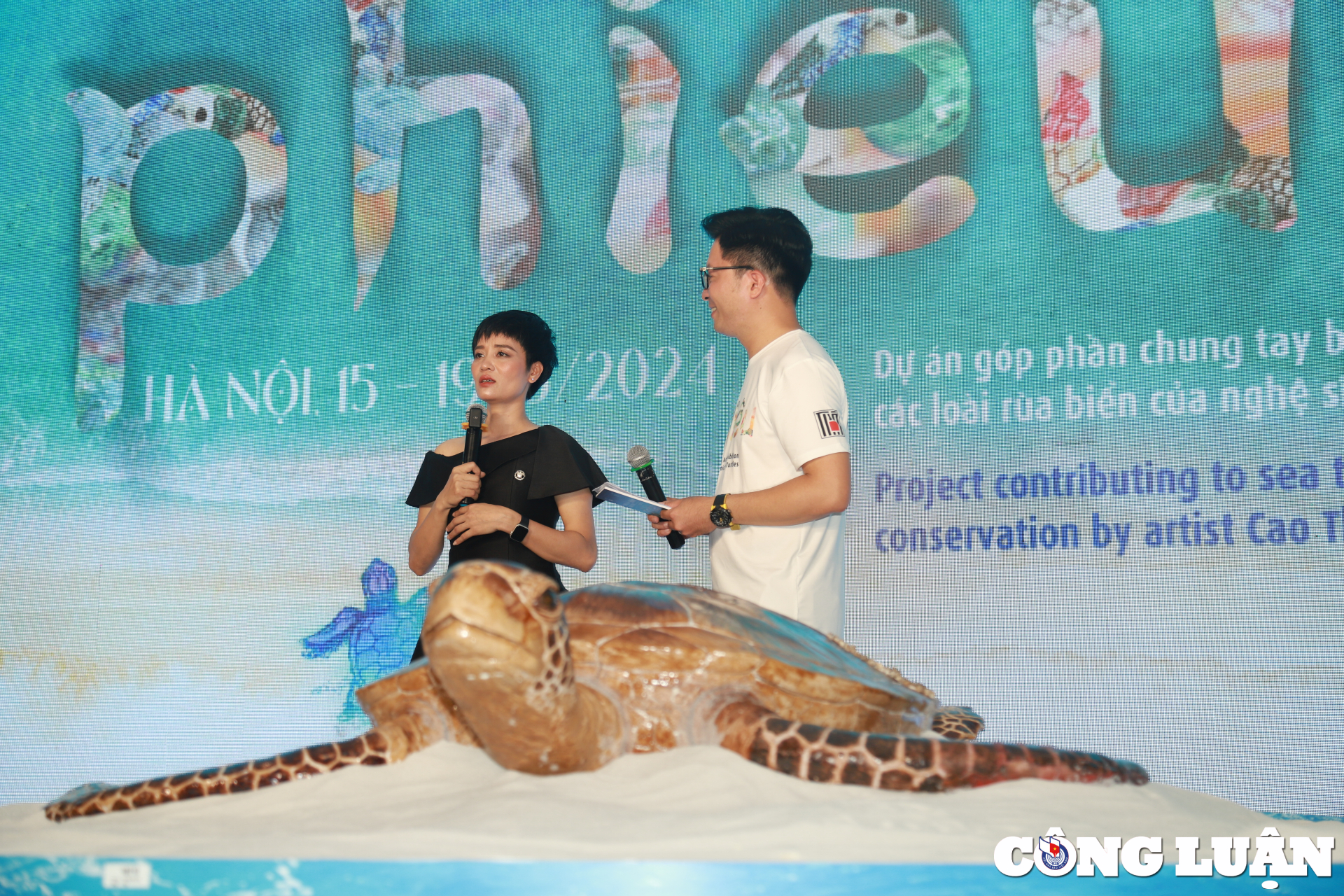 chiem nguong 1001 chu rua bien bang gom co mot khong hai tai ha noi hinh 1