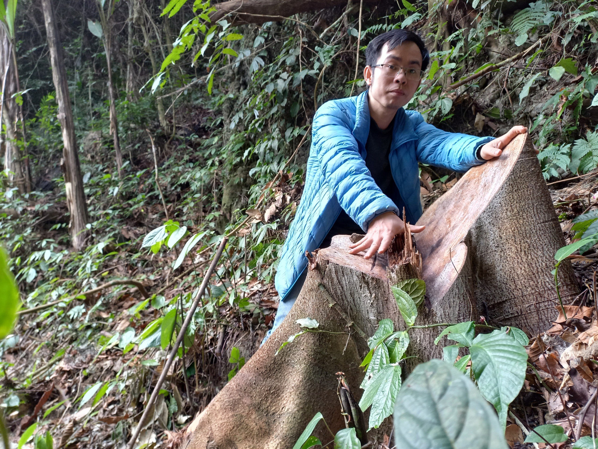 lat tay chan tuong duong di cua go lau hinh 1