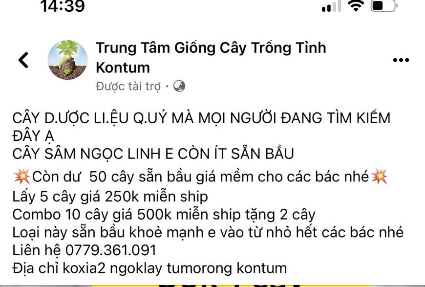 kon tum lua ban giong sam ngoc linh gia thanh nien bi khoi to hinh 1