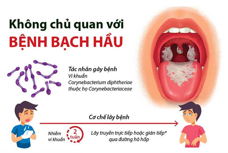 muc do nguy hiem cua benh bach hau va cach phong tranh hinh 1