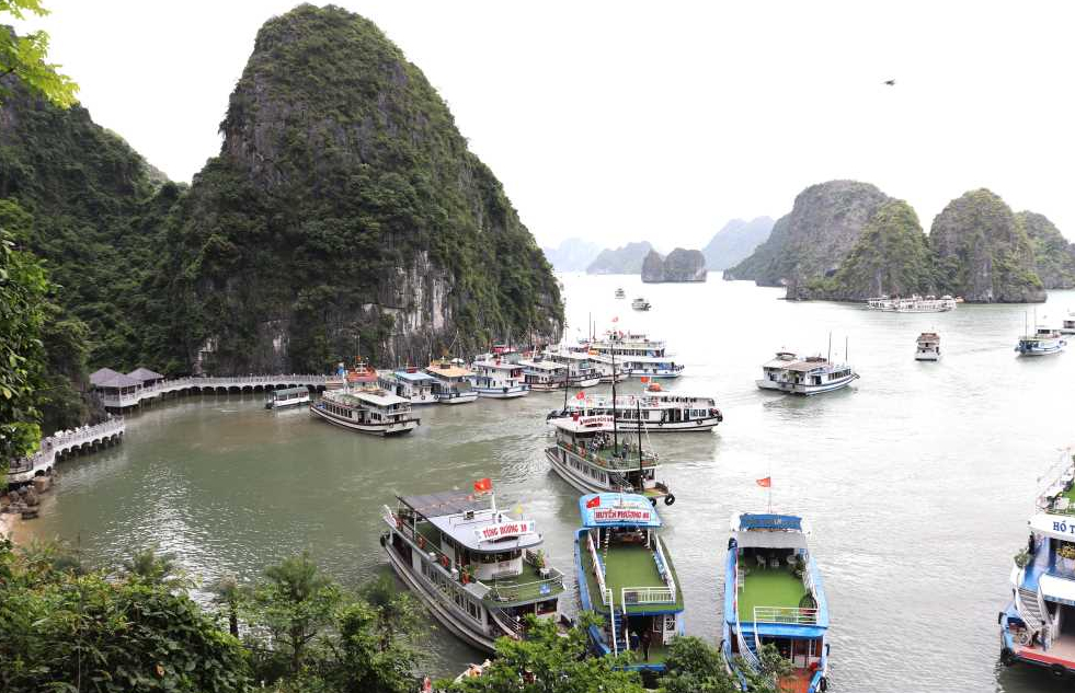 tau thuyen ve noi tranh tru an toan de giam thieu thiet hai do bao so 2 hinh 1