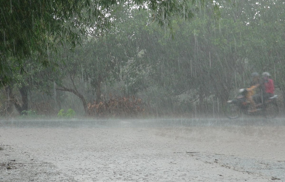 du bao thoi tiet ngay 24 7 ha noi va ca nuoc mua to va dong hinh 1