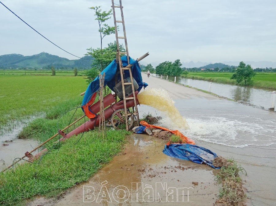 ha nam hon 5000 ha lua mua thiet hai do mua ung hinh 1