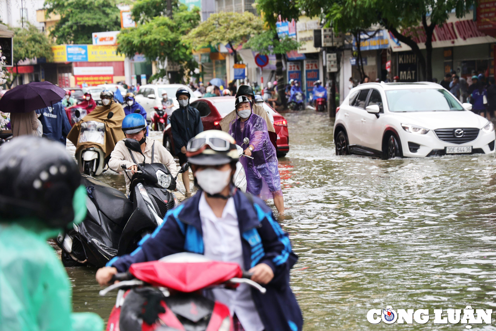 sau tran mua ha noi lai ngap khap pho vao sang som hinh 3